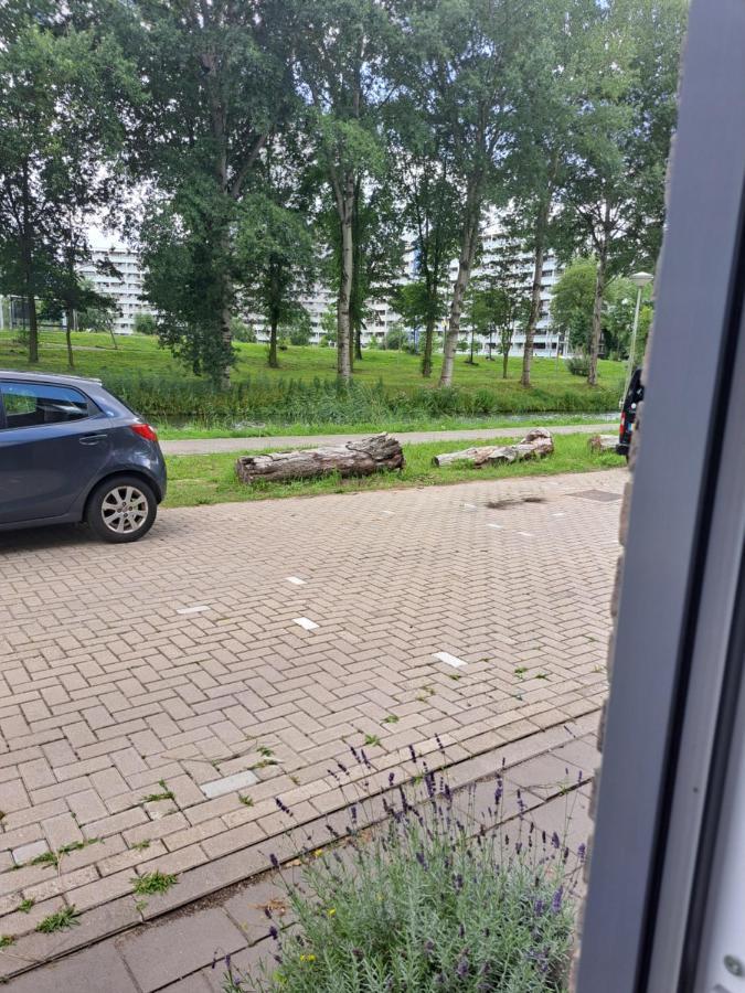 Appartamento Dubbelink 3A Amsterdam Esterno foto