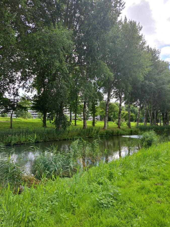 Appartamento Dubbelink 3A Amsterdam Esterno foto